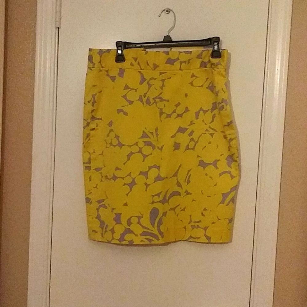 Ladies skirt